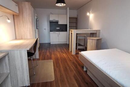 Wohnung Bamberg Gärtnerstadt - 1 Zimmer, 28 m&sup2;, 590&euro; | Angebot:25404581