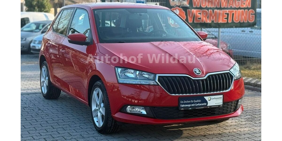 Skoda Fabia 76.693 km 8.990 &euro; Wildau 15745