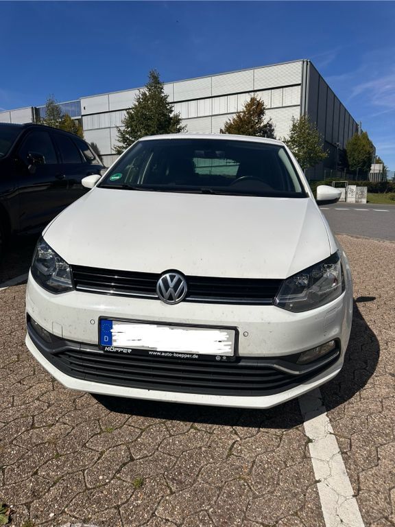 Polo