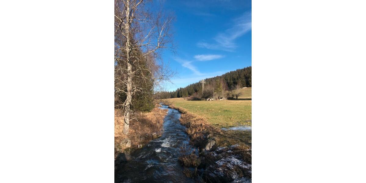 Ferienimmobilie Stuttgart Stuttgart-West - 88&euro; | Angebot:26565457