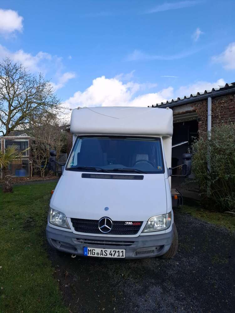 Sprinter