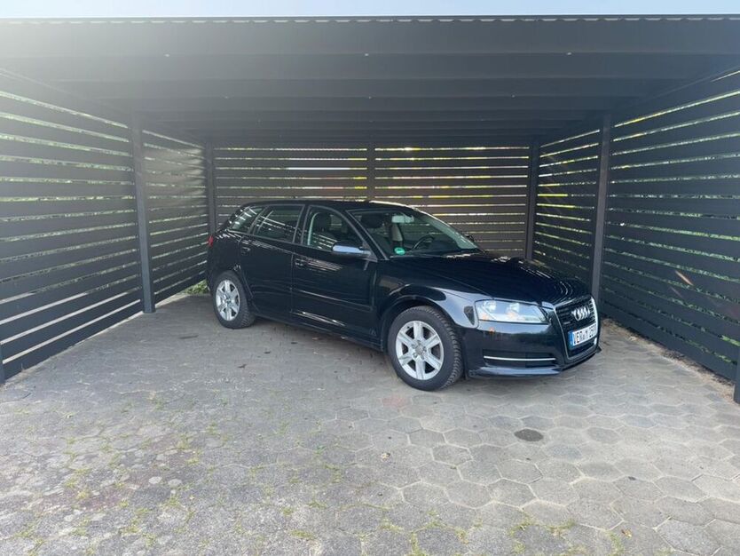 A3