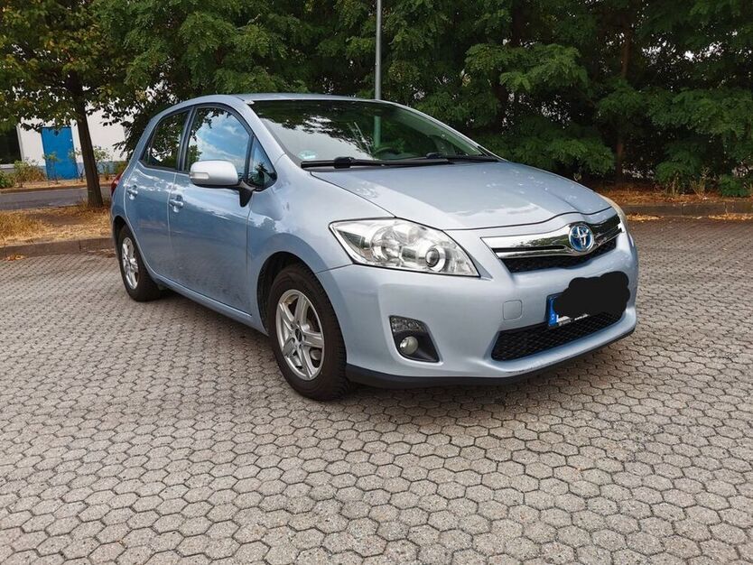 Auris