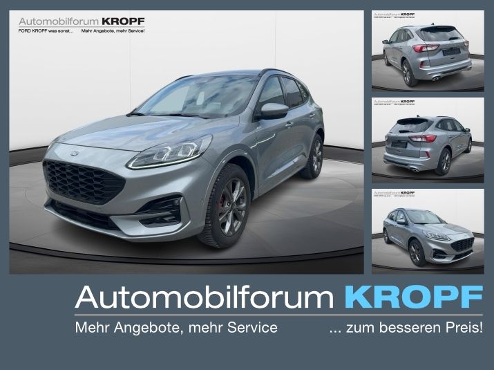 Kuga