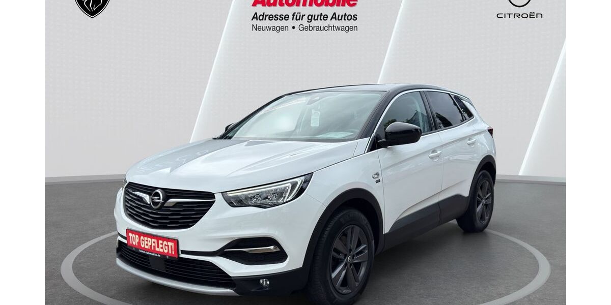 Opel Grandland (X) 75.244 km 17.731 &euro; Wunstorf 31515