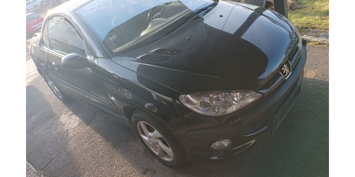 Peugeot 206 181.118 km 799 &euro; Ruppichteroth 53809