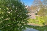 Etagenwohnung Rheinfelden (Baden) - 2 Zimmer, 59 m&sup2;, 230.000&euro; | Angebot:26131557