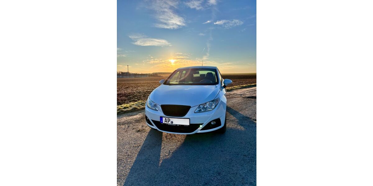 Seat Ibiza 130.274 km 3.600 &euro; Liebstedt 99510