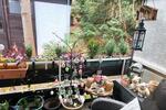 Maisonettenwohnung Bad Harzburg - 2 Zimmer, 57 m&sup2;, 65.000&euro; | Angebot:26979784