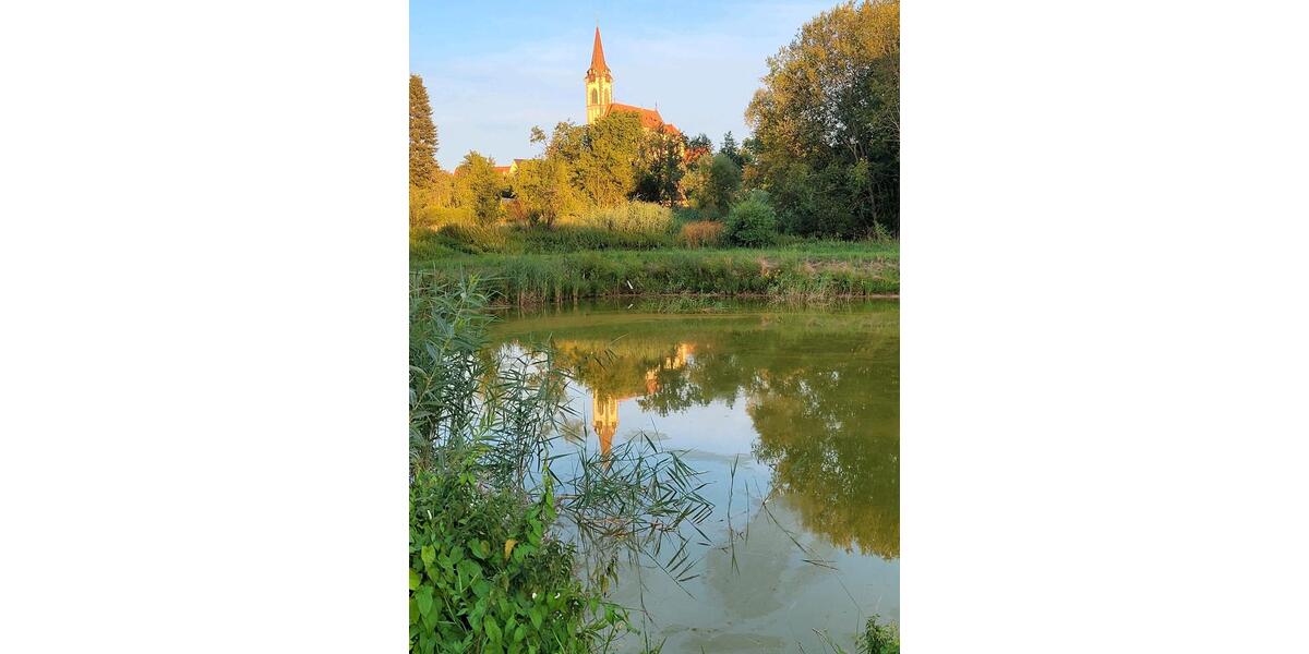 Doppelhaushälfte Lauf an der Pegnitz - 4 Zimmer, 130 m&sup2;, 469.000&euro; | Angebot:26043981