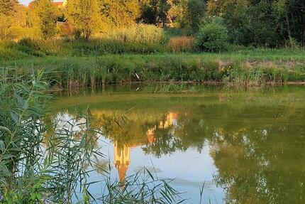 Haus Lauf an der Pegnitz - 4 Zimmer, 130 m&sup2;, 469.000&euro; | Angebot:26043981