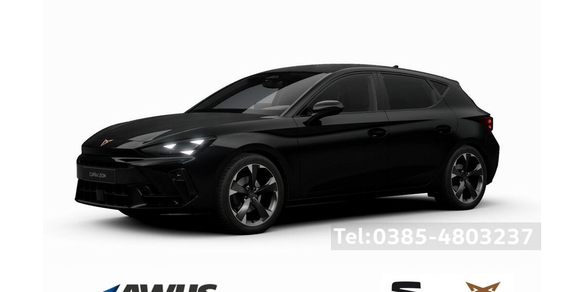 Cupra Leon 5.000 km 33.890 &euro; Schwerin 19057