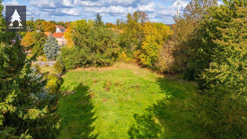 Grundstück Seeland Hoym - 49.000&euro; | Angebot:25681729