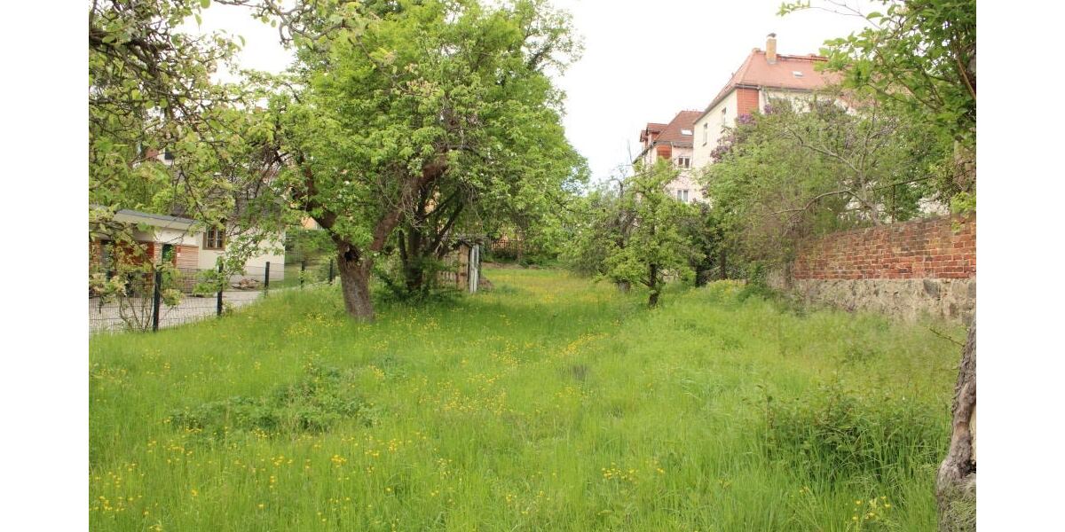 Kamenz - Wohn- und Geschäftshaus mit Grundstück - Mehrfamilienhaus, Wohnhaus Kamenz | Angebot:26536803