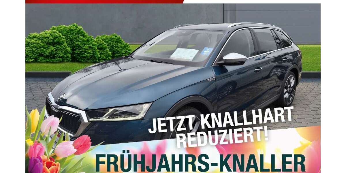 Skoda Octavia 135.673 km 24.870 &euro; Meiningen 98617