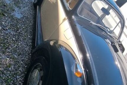 VW Käfer 23.800 km 19.500 &euro; seeshaupt 82402