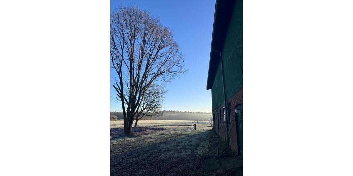Bauernhaus, Landhaus Hanerau-Hademarschen Hademarschen - 5 Zimmer, 125 m&sup2;, 214.750&euro; | Angebot:26975083