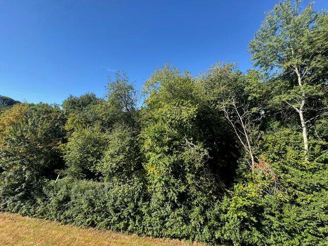 RESERVIERT! Renovierte und gepflegte 3-Zimmer Mietwohnung mit Balkon in Plettenberg