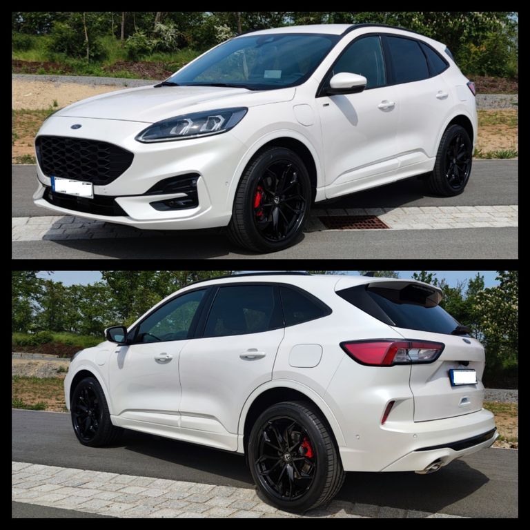 Kuga