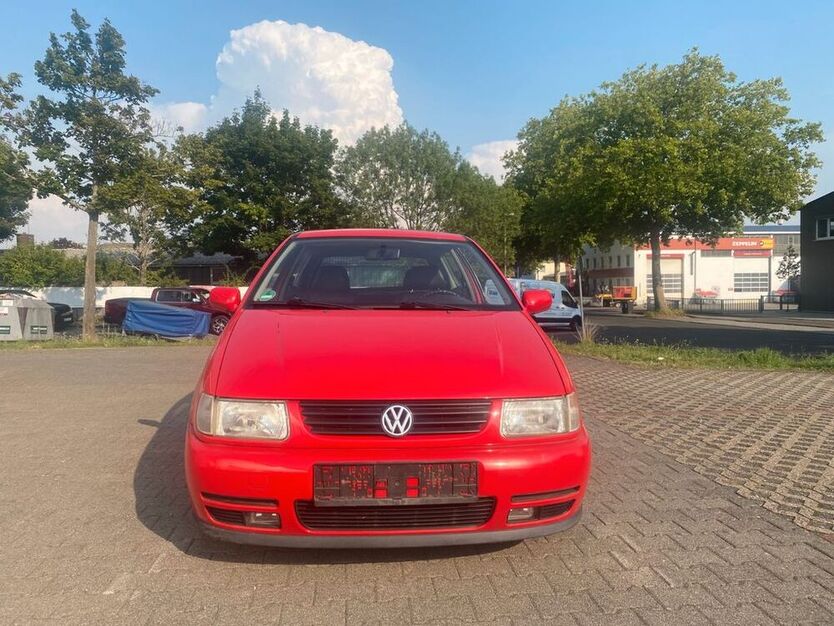 Polo