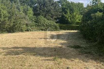 SONNIG MIT VIELFÄLTIGER NUTZUNG zimmer