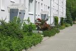 Etagenwohnung Wurzen - 2 Zimmer, 46 m&sup2;, 295&euro; | Angebot:26493227