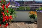 Maisonettenwohnung Münster Mitte-Süd - 4 Zimmer, 160 m&sup2;, 945.000&euro; | Angebot:26699962