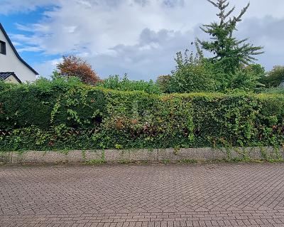 SONNENSTÜCK - UNBEBAUT UND NAHERHOLUNG zimmer