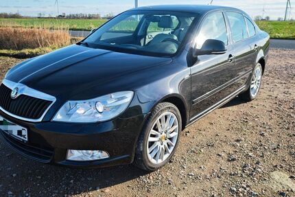 Skoda Octavia 260.000 km 5.000 &euro; Heide 25746