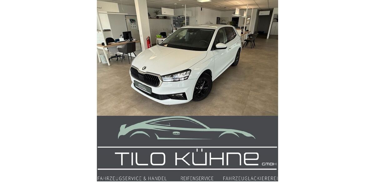 Skoda Fabia 62.926 km 13.990 &euro; Bad Düben 04849