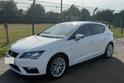 Seat Leon 166.133 km 13.000 € Xanten 46509