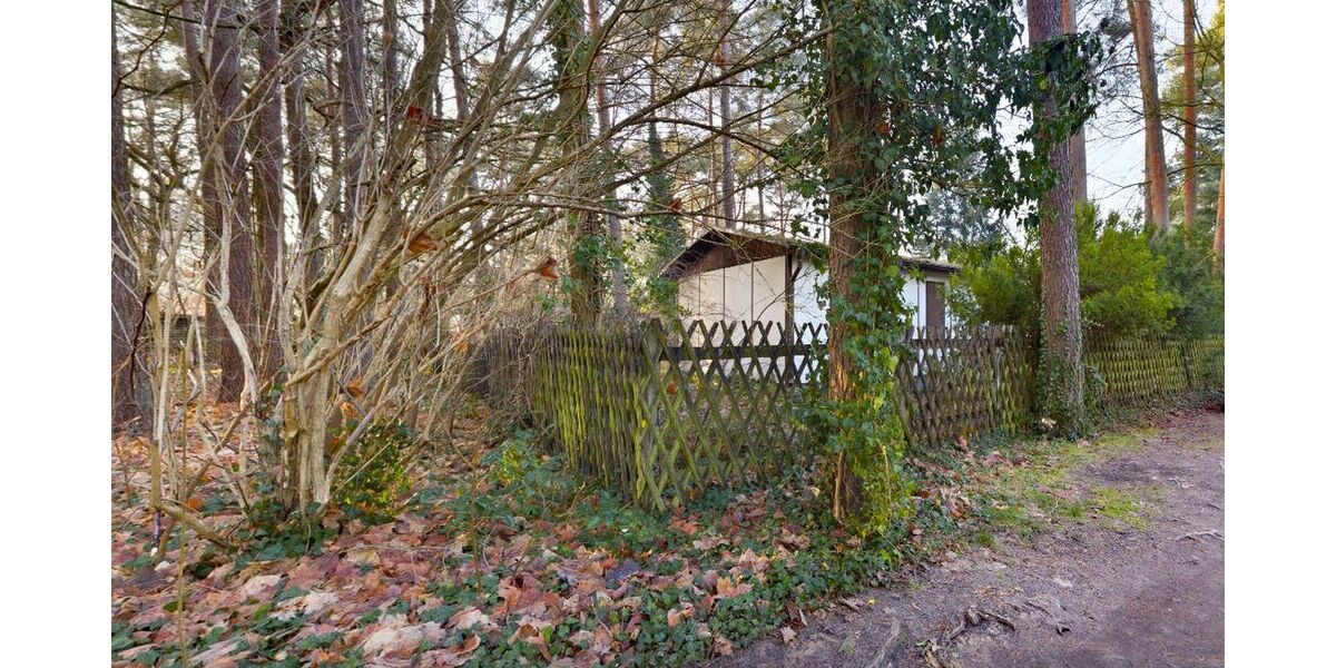 Kein Neubaugebiet. Kein Durchgangsverkehr. - Grundstück Grünheide (Mark) | Angebot:24619063