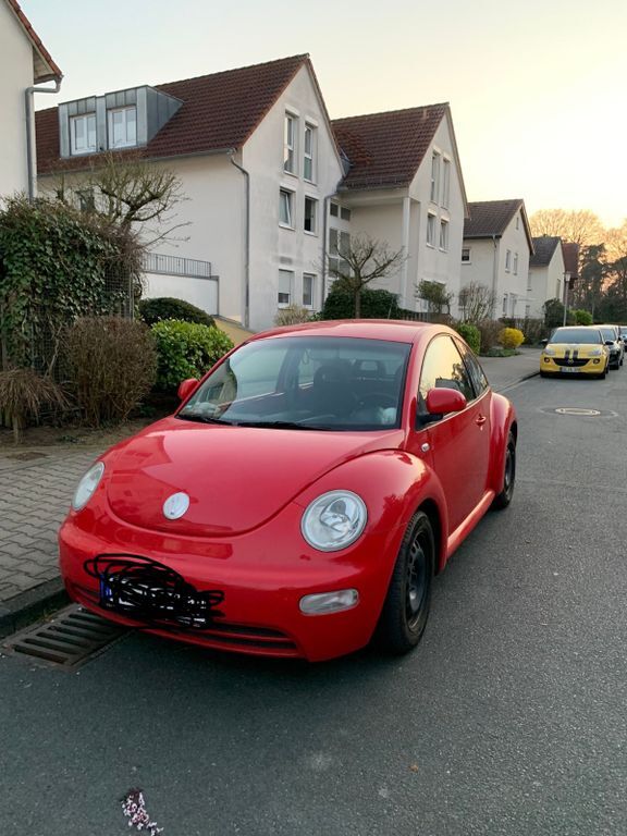 Beetle