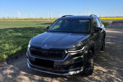 Skoda Kodiaq 49.600 km 36.990 &euro; Bad Lauchstädt 06246