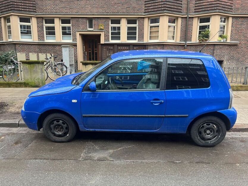 Lupo