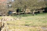 Mehrfamilienhaus, Wohnhaus Zweibrücken - 8 Zimmer, 160 m&sup2;, 269.000&euro; | Angebot:27005556