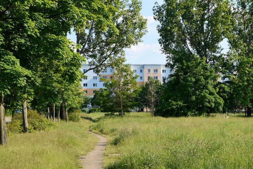 Hoch hinaus und den Ausblick genießen! zimmer