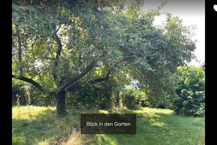 Einfamilienhaus mit großen Garten und Garage zu vermieten 2 zimmer