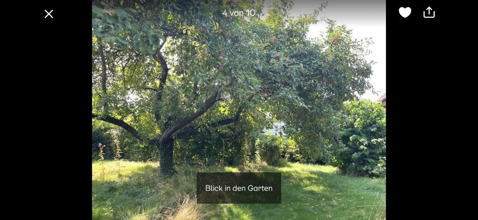 Einfamilienhaus mit großen Garten und Garage zu vermieten 2 zimmer