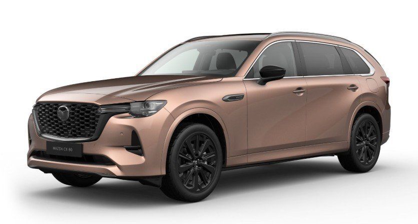 CX-80