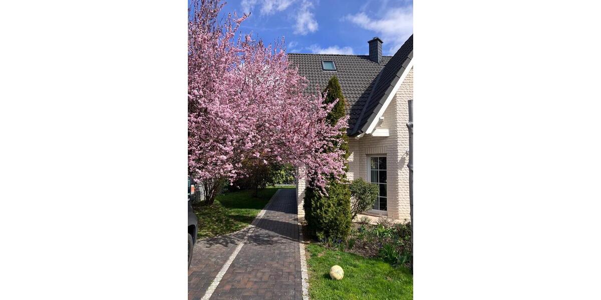 Einfamilienhaus Langelsheim - 4 Zimmer, 150 m&sup2;, 425.000&euro; | Angebot:27279664