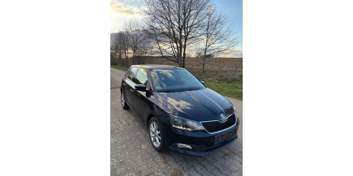 Skoda Fabia 110.000 km 9.500 &euro; Uffenheim 97215