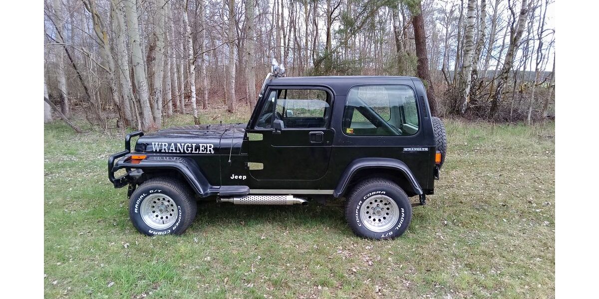 Jeep Wrangler 110.000 km 13.250 &euro; Hohenbucko 04936