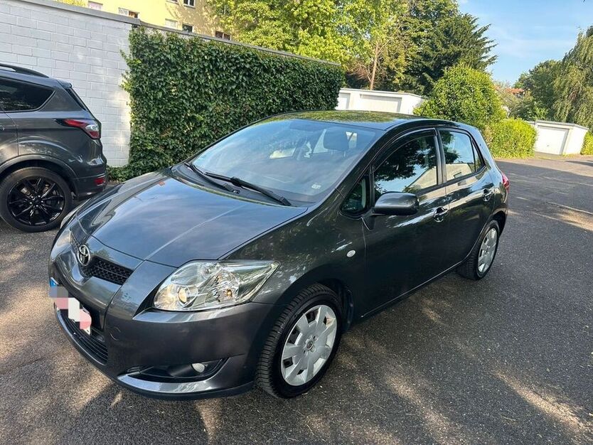 Auris