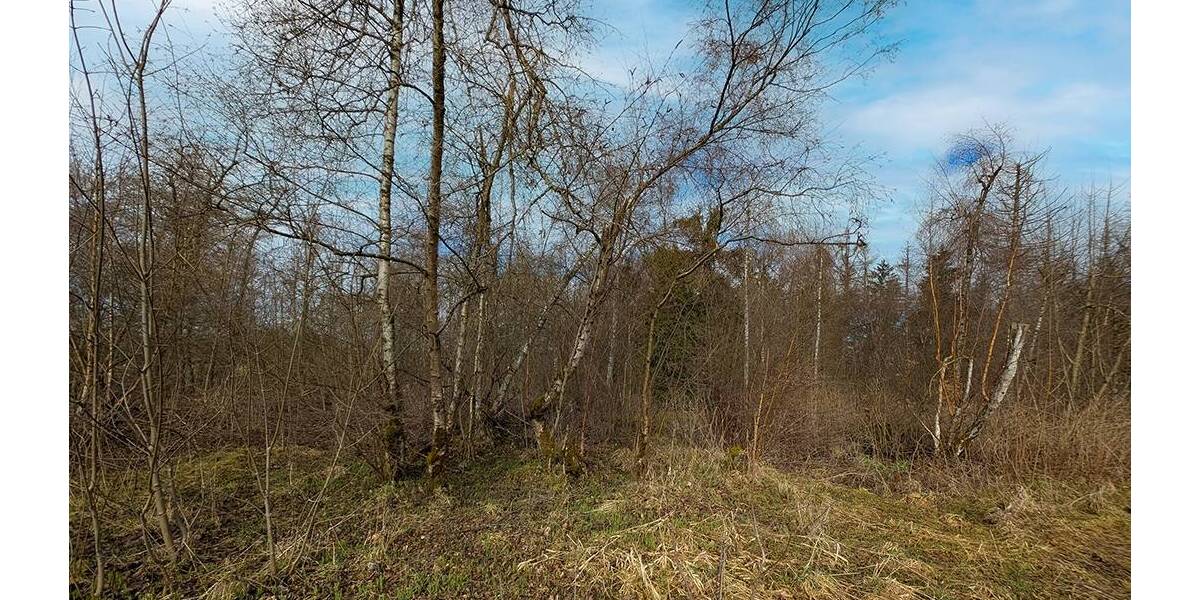 Grundstück Oberharz am Brocken Benneckenstein - 25.000&euro; | Angebot:26246276