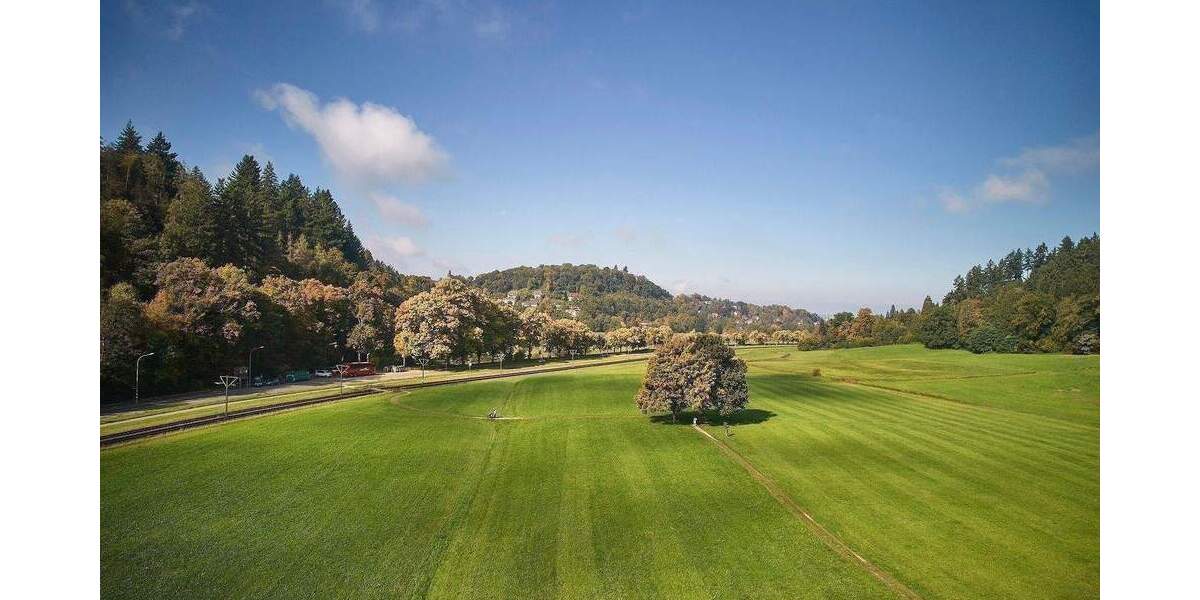 Mehrfamilienhaus, Wohnhaus Freiburg im Breisgau Günterstal - 1 Zimmer, 405 m&sup2;, 1.820.000&euro; | Angebot:25607739