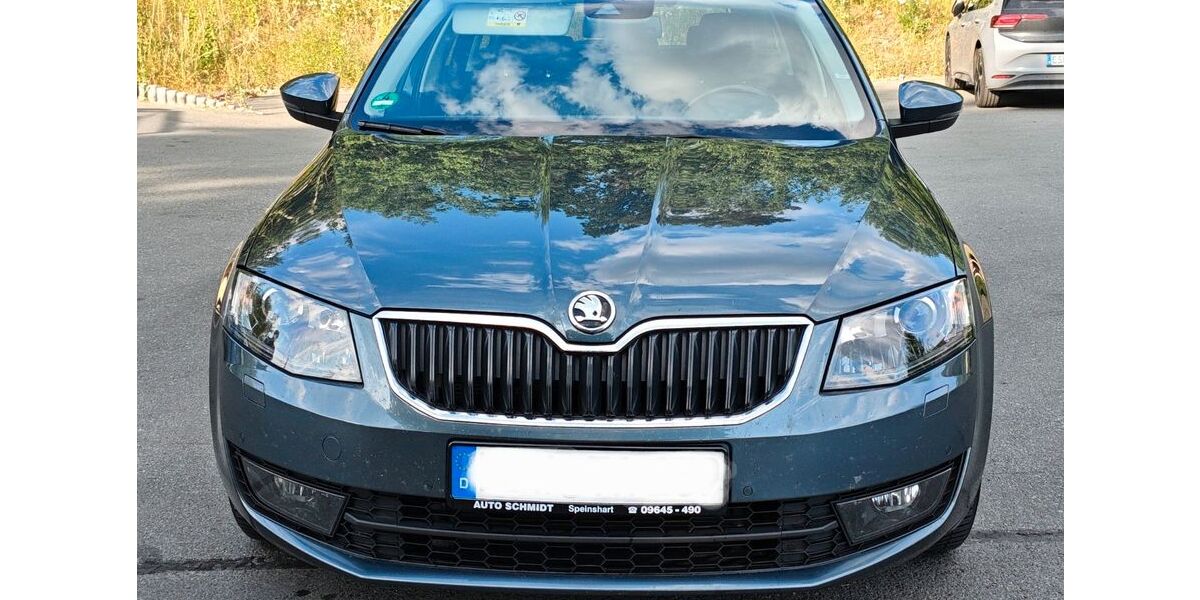 Skoda Octavia 196.000 km 9.800 &euro; Speinshart 92676