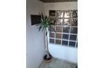 Etagenwohnung Würzburg Sanderau - 5 Zimmer, 134 m&sup2;, 440&euro; | Angebot:25752183