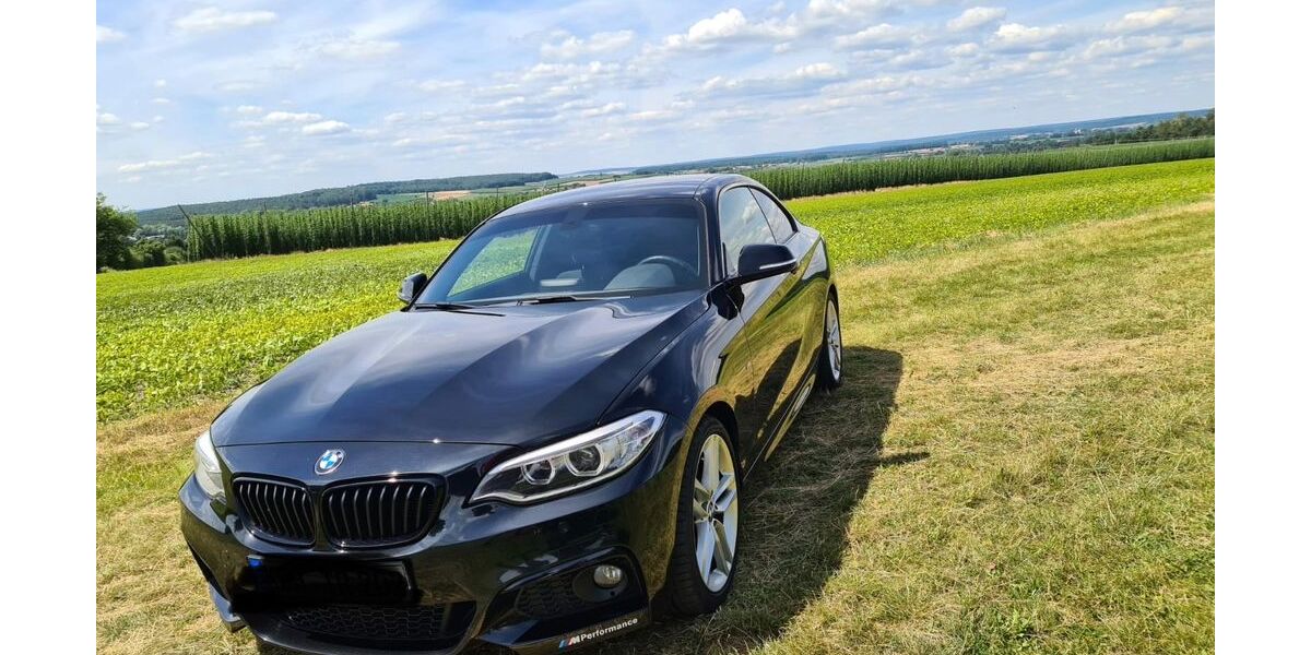 BMW 220 201.500 km 11.500 &euro; Train 93358