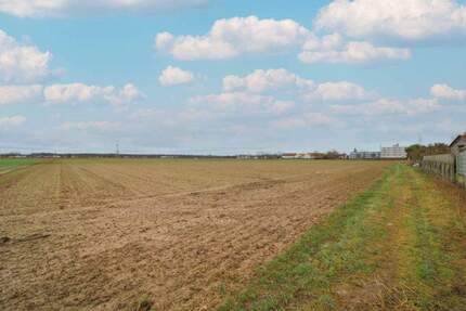 Investitionschance: Großes Bauerwartungsland in Kandel mit ca. 27.743 m² Fläche zimmer